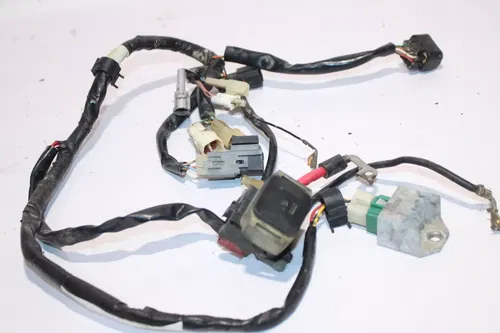 2003-2004 Yamaha TTR125E Main Engine Wiring Harness Wire Loom Slight Damage