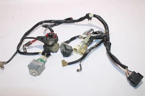 2003-2004 Yamaha TTR125E Main Engine Wiring Harness Wire Loom Slight Damage