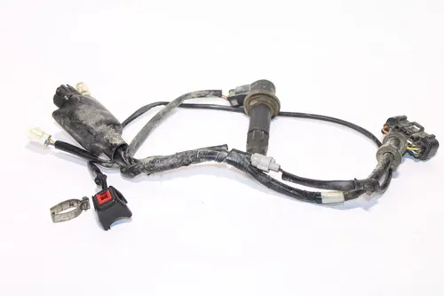 2006-2009 Yamaha Yz250f Main Engine Wiring Harness Motor Wire Loom