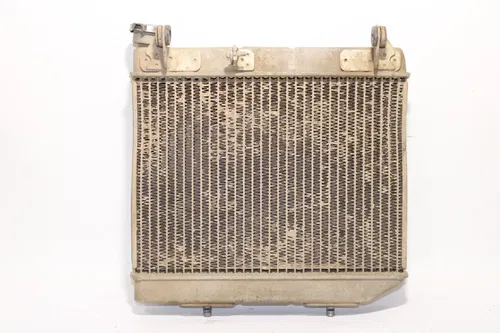 2004-2014 Honda 450 Trx450r Engine Radiator OEM No Leaks 19010-HP1-003