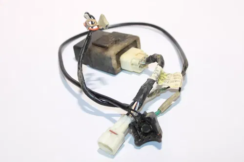 2000-2023 Yamaha Ttr125l OEM CDI And Main Harness 5HP-85540-00-00