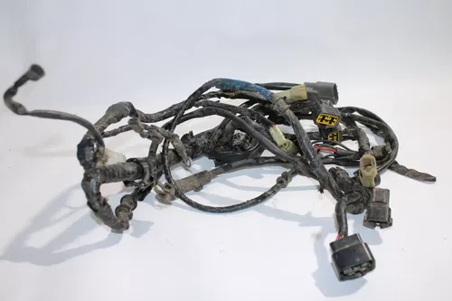 2004-2005 Honda Trx450R Wiring Harness Assembly For Parts