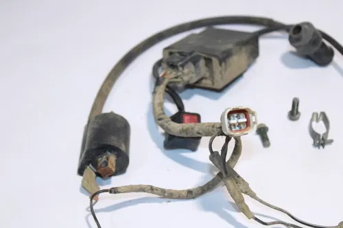 2000-2004 Yamaha Ttr125 Ttr 125 OEM Wiring Harness With CDI And Ignition Coil
