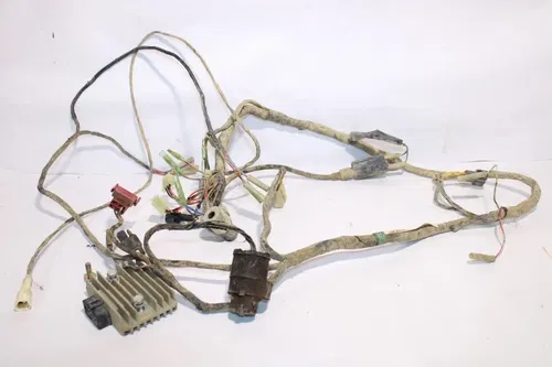 2004 Kawasaki Bayou 250 Klf250a OEM Main Engine Wiring Harness Motor Wire Loom