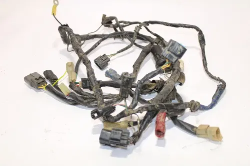 2004-2005 Honda 450 Trx450r Main Wiring Harness Wire Loom OEM Slight Damage
