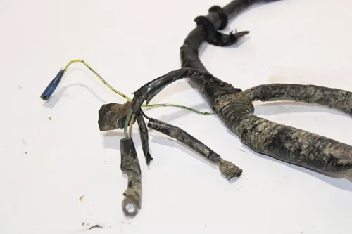 2004-2005 Honda 450 Trx450r Main Engine Wiring Harness Uncut OEM 32100-HP1-000