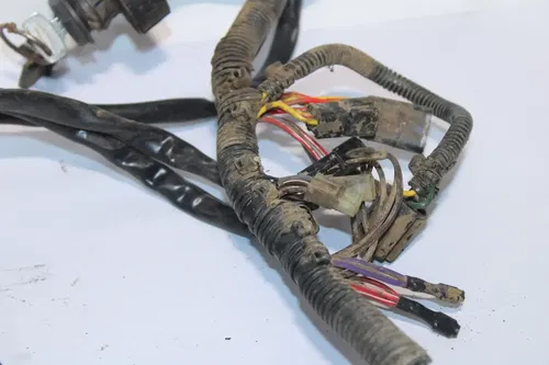 2001 Polaris Xplorer 250 4x4 Main Engine Wiring Harness Clean! 2460862
