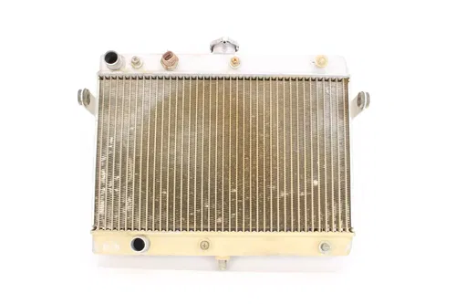 05-07 Suzuki King Quad 700 Engine Radiator Motor Cooler Cooling 8220