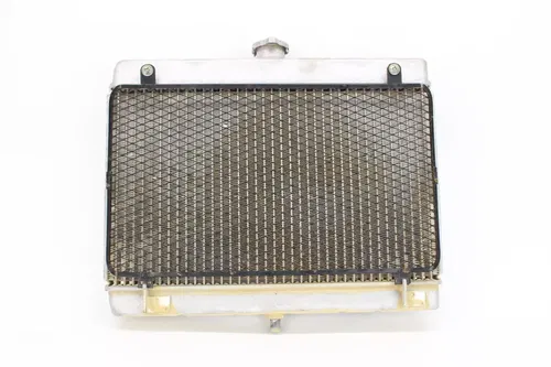 05-07 Suzuki King Quad 700 Engine Radiator Motor Cooler Cooling 8220