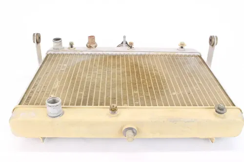 05-07 Suzuki King Quad 700 Engine Radiator Motor Cooler Cooling 8220
