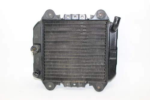 Kawasaki Ninja 250r 1989 1990 92-07 Engine Radiator Motor Cooler 2251