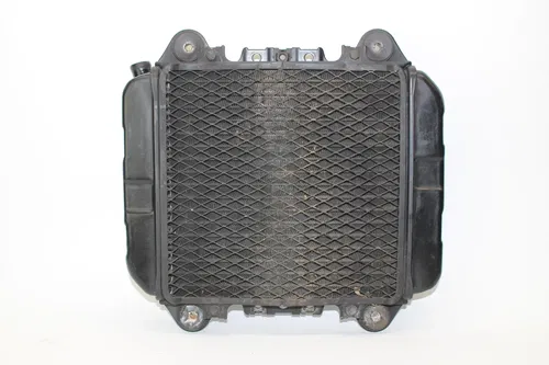 Kawasaki Ninja 250r 1989 1990 92-07 Engine Radiator Motor Cooler 2251