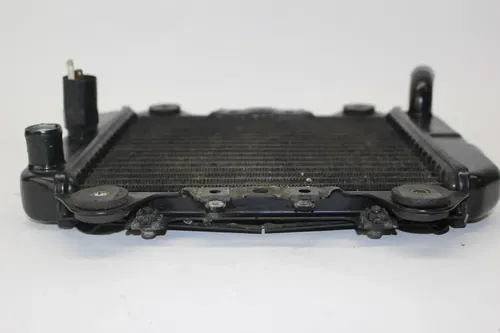 Kawasaki Ninja 250r 1989 1990 92-07 Engine Radiator Motor Cooler 2251