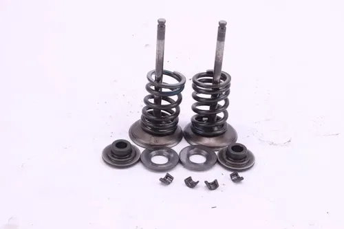 2006 Suzuki Rmz450 Oem Intake Valve set p0067