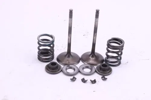 2006 Suzuki Rmz450 Oem Intake Valve set p0067