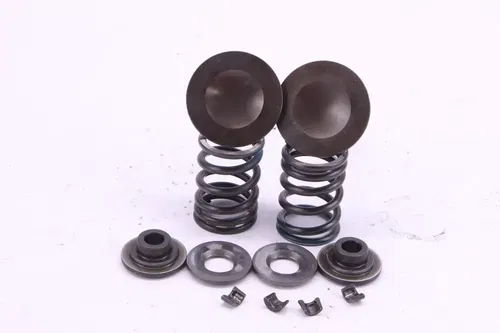 2006 Suzuki Rmz450 Oem Intake Valve set p0067
