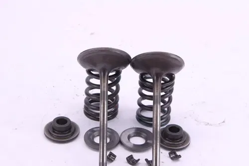 2006 Suzuki Rmz450 Oem Intake Valve set p0067