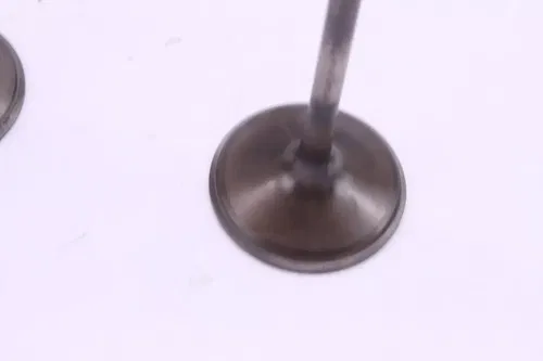 2006 Suzuki Rmz450 Oem Intake Valve set p0067
