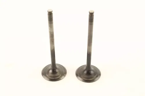 2006 Kawasaki Kfx400 Exhaust Valves k1243
