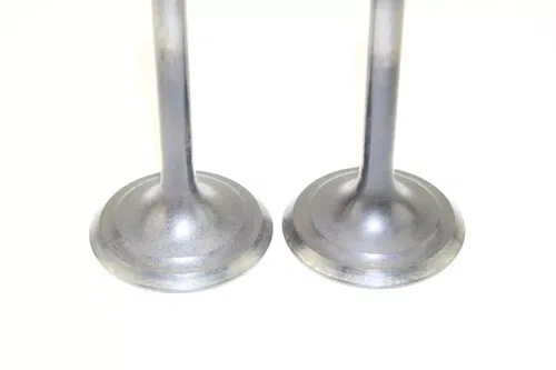 2006 Kawasaki Kfx400 Exhaust Valves k1243