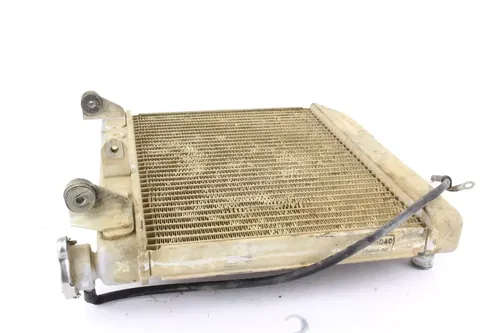 2004 2005 Honda Trx450r Engine Radiator Motor Cooler Cooling r1565