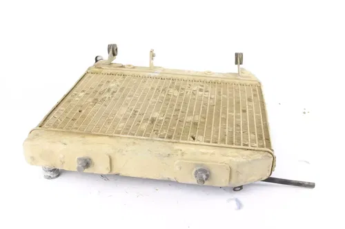 2004 2005 Honda Trx450r Engine Radiator Motor Cooler Cooling r1565
