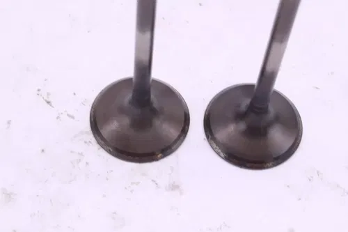 2006 Suzuki Rmz450 Oem Exhaust Valve set p0067