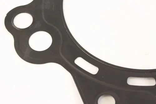 2006 Yamaha Raptor 700 Yfm700r Cylinder Gasket c7248