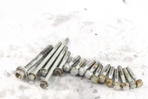 2007 Honda Crf450r Oem Case Bolt set