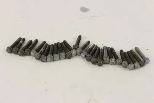 2006 Yamaha Yfz450 Assorted Bolts c7248