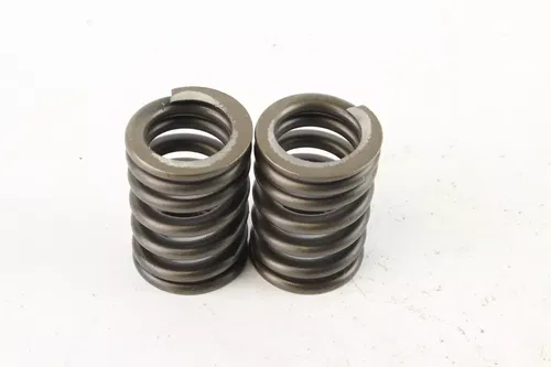 2006 Yamaha Raptor 700 Yfm700r Valve Spring Set c7248