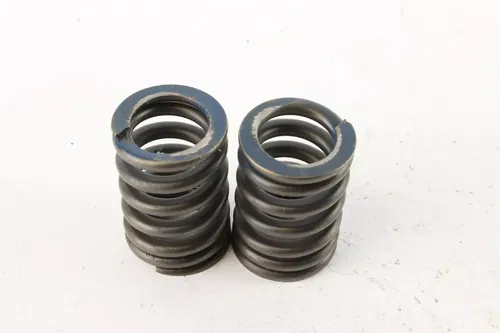 2006 Yamaha Raptor 700 Yfm700r Valve Spring Set c7248