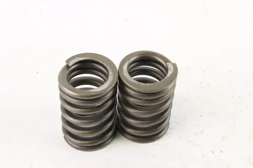 2006 Yamaha Raptor 700 Yfm700r Valve Spring Set c7248