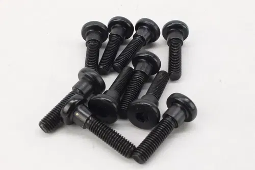 2000-01 Victory V92sc Brake Rotor Bolts k2688