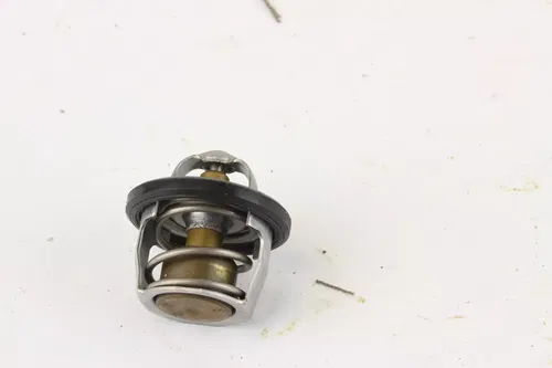 2003 Polaris Sportsman 400 4x4 Thermostat c7248