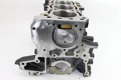 2021 Tracker 800SX UTV Engine Motor Block k1030
