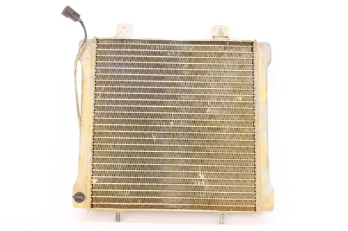2001 Polaris Xpedition 425 Engine Radiator Motor Cooler Cooling Radiater 4358