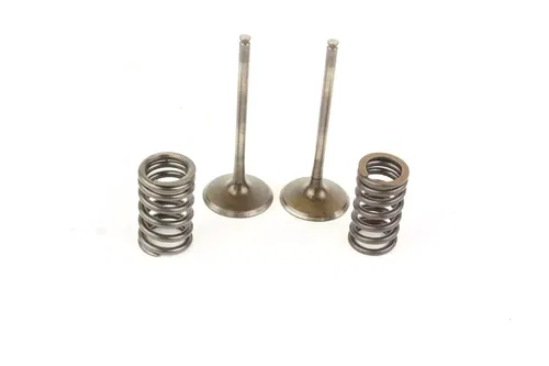 2010 Kawasaki Kfx450r Intake Exhaust Valves and Valve Springs G7248