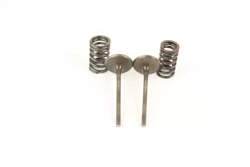 2010 Kawasaki Kfx450r Intake Exhaust Valves and Valve Springs G7248