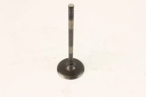 2006 Yamaha Raptor 700 Yfm700r Intake Valve c7248