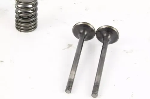 2002 Kawasaki Mojave 250 Ksf250a Oem Exhaust Valve set p4465