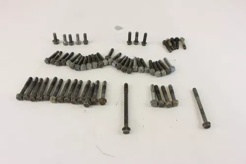 2006 Yamaha Yfz450 Assorted Bolts c7248