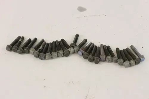 2006 Yamaha Yfz450 Assorted Bolts c7248