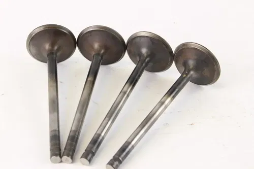 2006 Yamaha Raptor 700 Yfm700r Intake Valve c7248