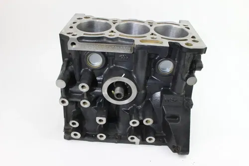 2021 Tracker 800SX UTV Engine Motor Block k1030
