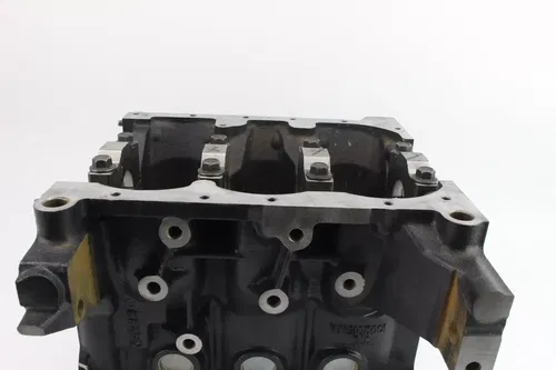 2021 Tracker 800SX UTV Engine Motor Block k1030