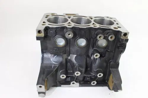 2021 Tracker 800SX UTV Engine Motor Block k1030