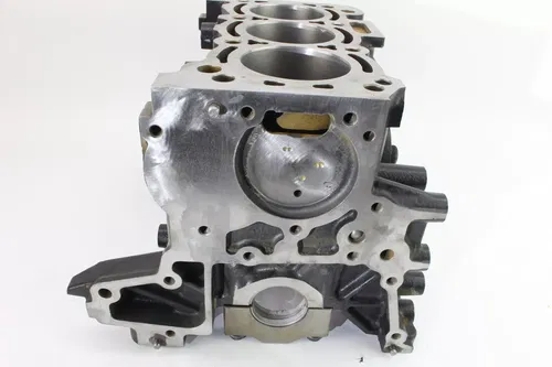2021 Tracker 800SX UTV Engine Motor Block k1030
