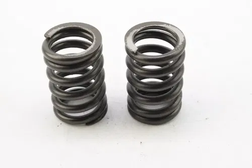2007 Kawasaki Kx250f Exhaust Valve Spring Pair k7248