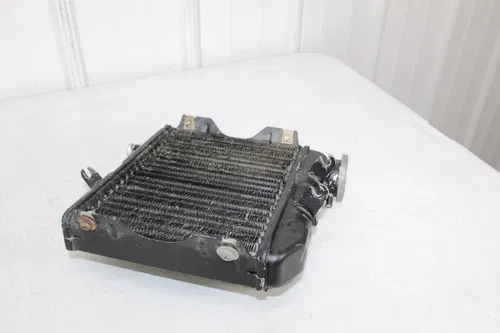 1981 - 1983 Suzuki RM125 OEM Radiator 17700-14110 RM 125 82/2